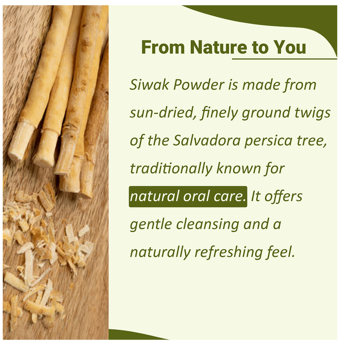 Minature Siwak (Miswak) Powder | Grocsy