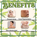 VedicAyurveda Tea Tree Hydrosol Skin Toner with Glycerine | Grocsy