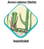 Himalaya Erina-EP Tick And Flea Control Shampoo | Grocsy