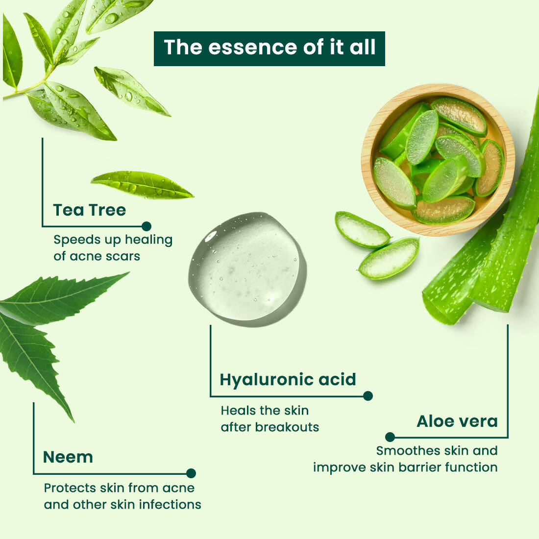 Vasu Healthcare Botanicals Tea Tree Face Serum | Grocsy