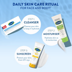 Cetaphil Cleansing & Moisturizing Syndet Bar | Grocsy
