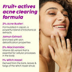 PLIX The Plant Fix 2% Niacinamide Jamun Moisturizer | Grocsy