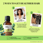 Just Herbs Eucalyptus Essential Oil | Grocsy