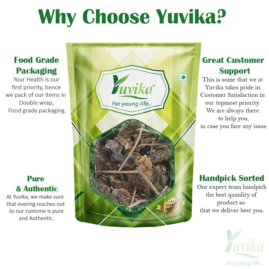 Yuvika Ustekhadoos Asli - Uste Khadus - Lavandula Stoechas - Arabian Lavende | Grocsy
