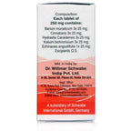 Dr. Willmar Schwabe India Alpha - SH Tablet | Grocsy