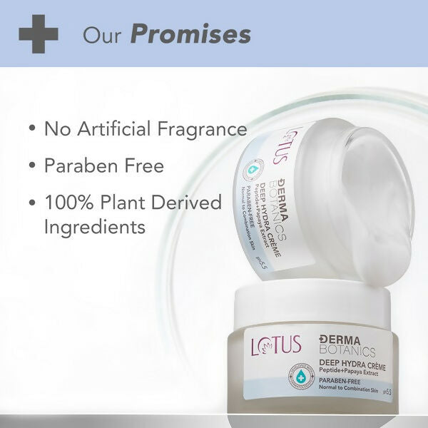 Lotus DermaBotanics Deep Hydra Crème | Grocsy