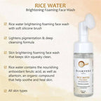 Glamveda Rice Water Brightening Foaming Face Wash With Soft Silicone Brush | Grocsy