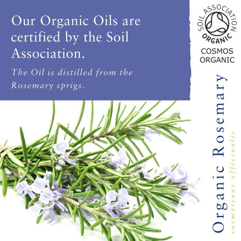 Absolute Aromas Organic Rosemary Essential Oil | Grocsy