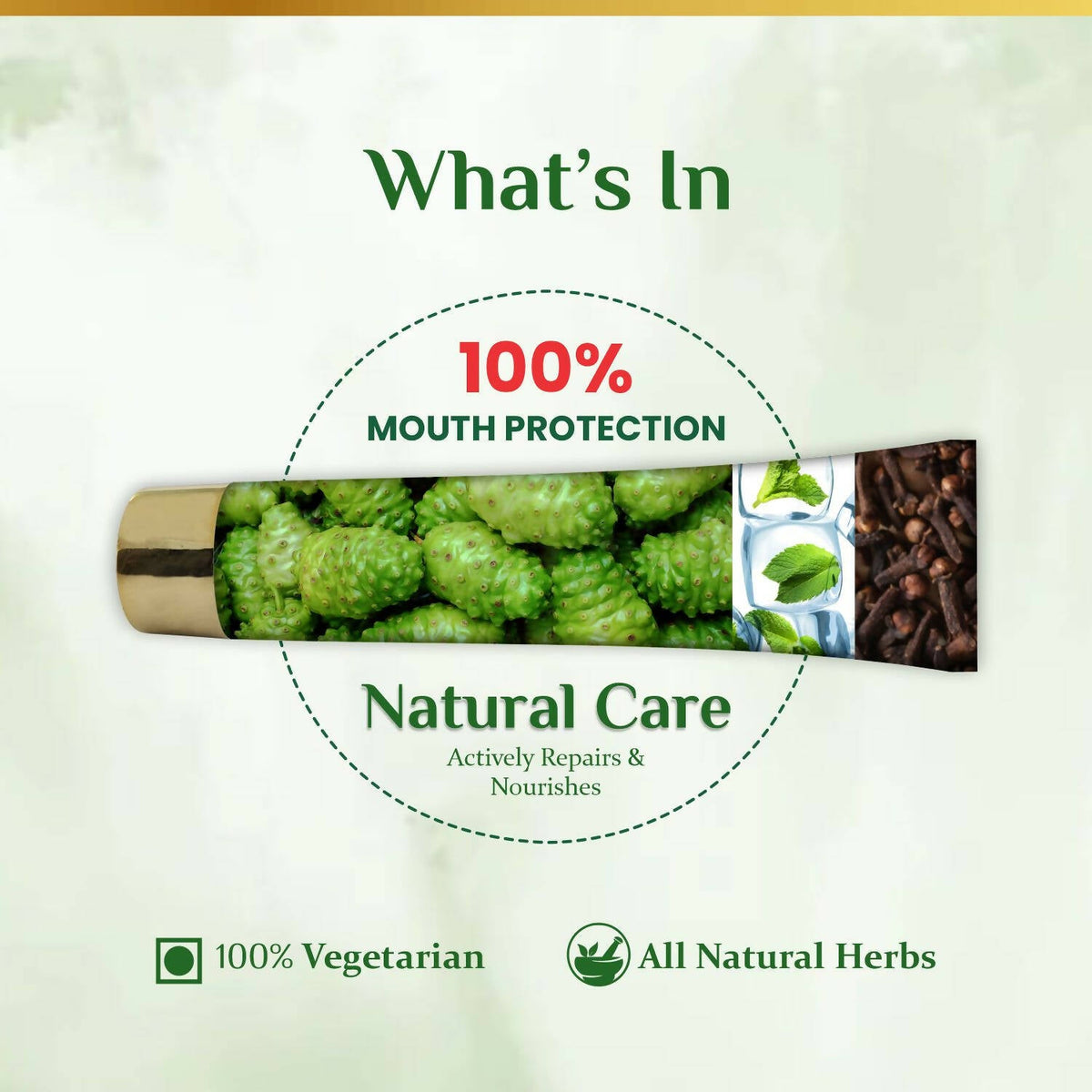 The Dave's Noni 24 Hour Oral Care Toothpaste | Grocsy