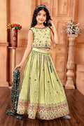 Kids Functional Designer Pista Chinon Fab Lehenga choli - Aaradhna | Grocsy