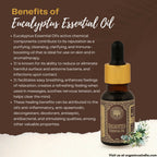Organicos Eucalyptus Essential Oil | Grocsy