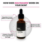 Thriveco 10% Niacinamide + 1% Zinc Pca Serum | Grocsy