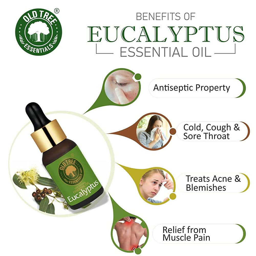 Old Tree 100% Pure Eucalyptus Essential Oil | Grocsy