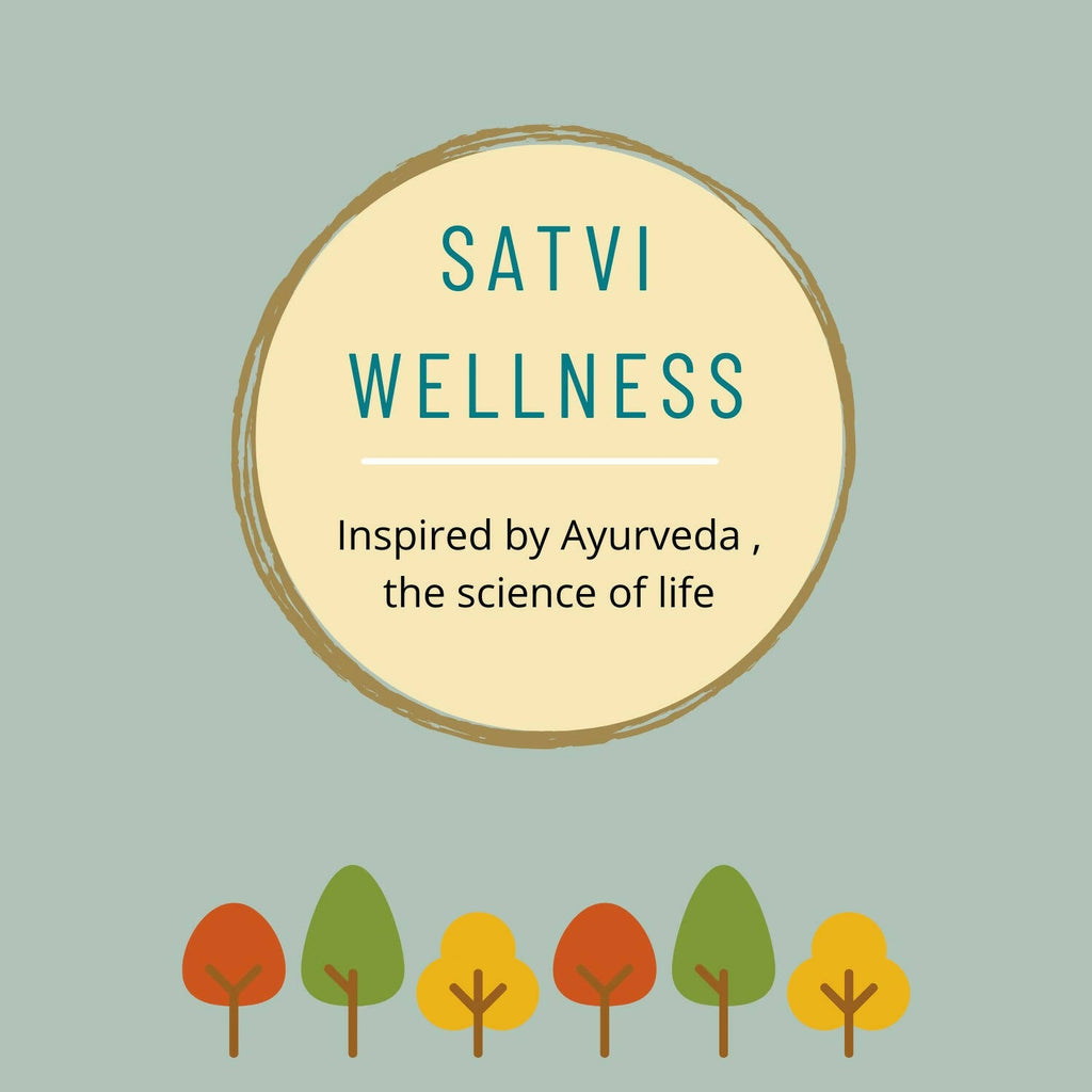 Satvi Wellness Ginger Cinnamon Tea | Herbal Tea | Grocsy