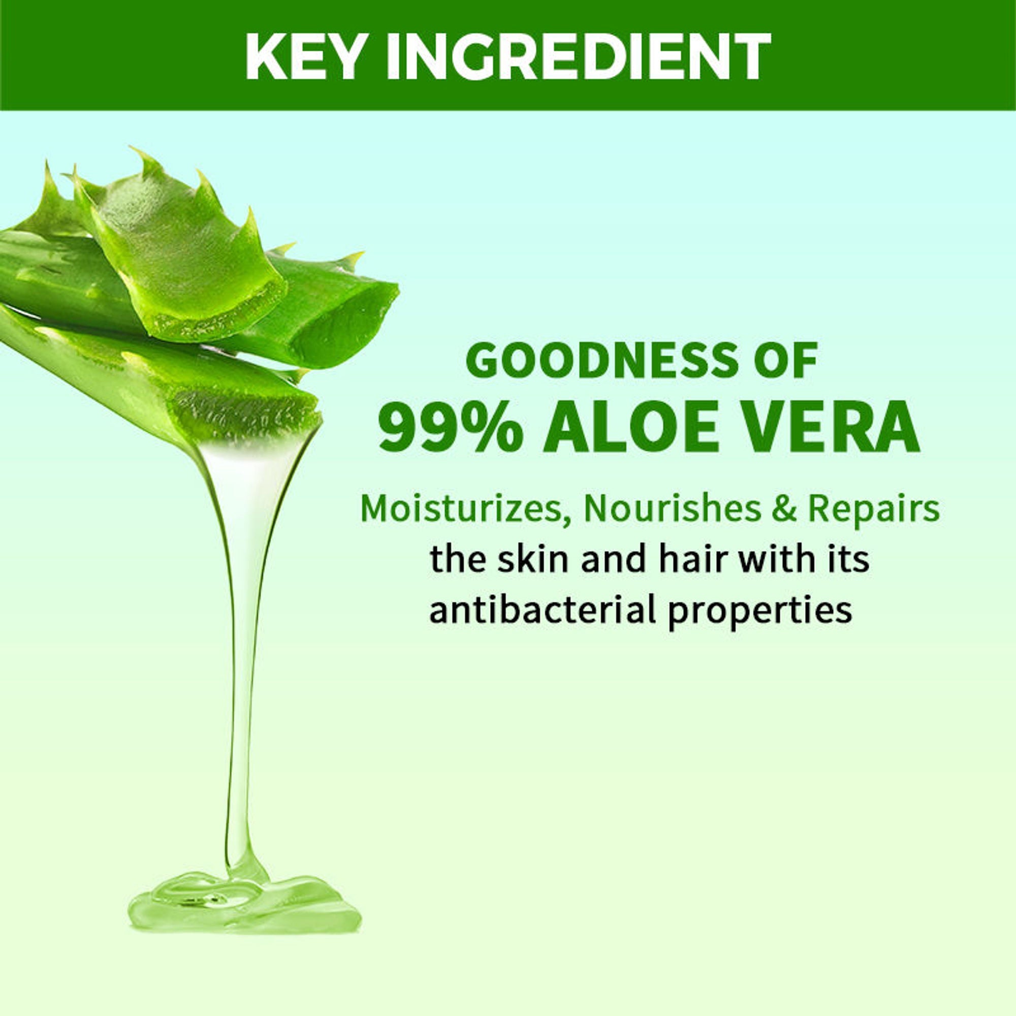 Nykaa Naturals Aloe Vera Gel - Hydrates & Soothes Skin, Repairs and Nourishes Hair for Healthy Glow | Grocsy