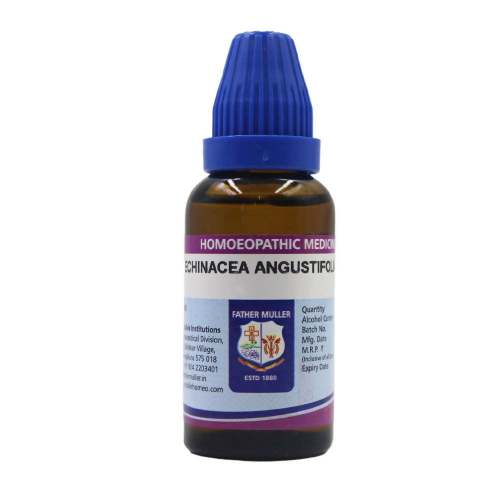 Father Muller Echinacea Angustifolia Dilution | Grocsy
