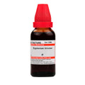 Dr. Willmar Schwabe India Equisetum Arvense Mother Tincture Q | Grocsy