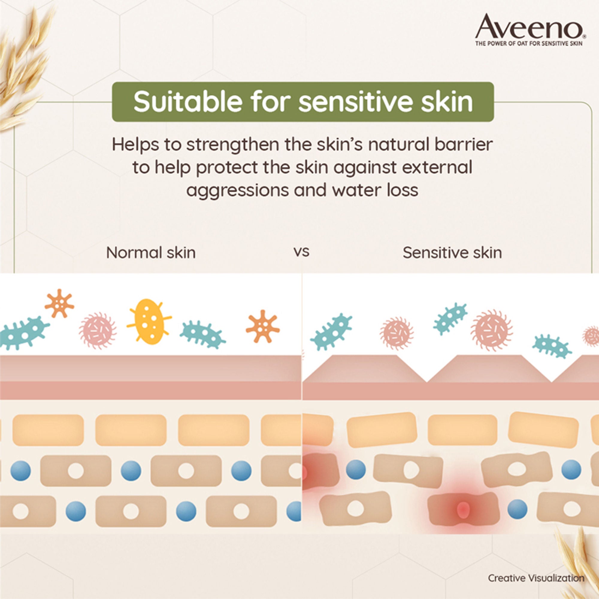 Aveeno Daily Moisturizing Combo | Grocsy