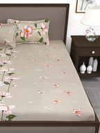 Story@home Beige & Red Floral Flat 240 TC 1 Double Bedsheet with 2 Pillow Covers | Grocsy