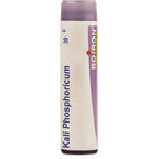 Boiron Homeopathy Kali Phosphoricum | Grocsy