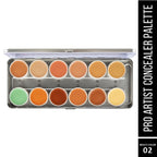 Lyon Beauty Pro Artist Concealer Palette - Multi-Color 02 | Grocsy