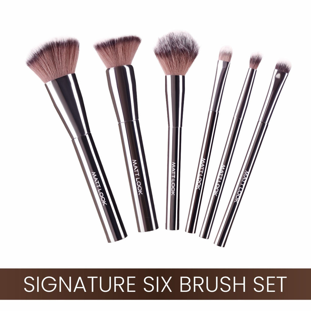 Matt Look Professional Signature Brush - Set of 6 | Grocsy