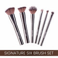 Matt Look Professional Signature Brush - Set of 6 | Grocsy