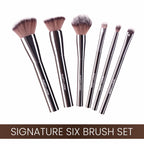 Matt Look Professional Signature Brush - Set of 6 | Grocsy