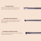 Matt Look Professional Signature Brush - Set of 6 | Grocsy
