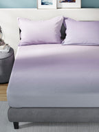 Nautica Bradford Purple & Mauve 160 TC Pure Cotton King Bedsheet & 2 Pillow Covers | Grocsy