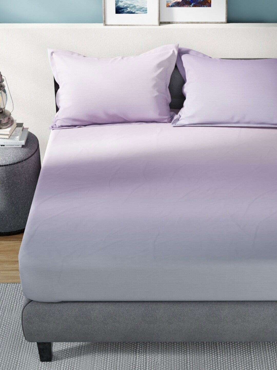 Nautica Bradford Purple & Mauve 160 TC Pure Cotton King Bedsheet & 2 Pillow Covers | Grocsy