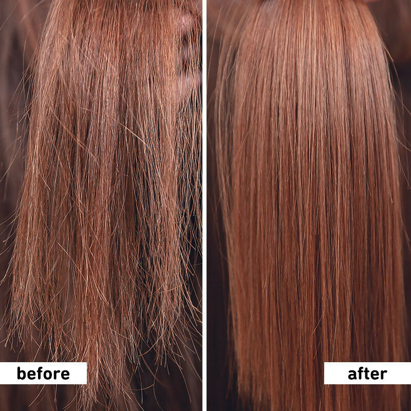 Plum Hibiscus & Ceramides Shampoo For Long, Healthy Hair | Grocsy