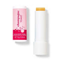 Bath & Body Works Champagne Toast Lip Balm | Grocsy