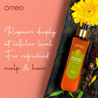 Omeo Hydrating Conditioner with Amla & Reetha | Grocsy