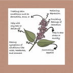 Sarva by Anadi Patchouli Pure Essential Oil | Grocsy