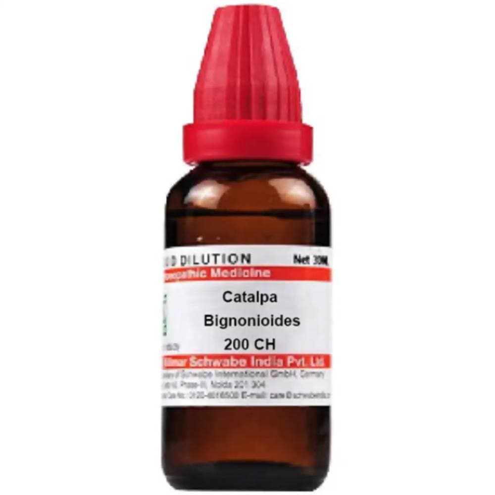 Dr. Willmar Schwabe India Catalpa Bignonioides Dilution | Grocsy