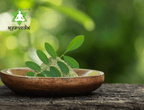 Ayurvedix Organic Indigo Powder - Natural Hair Colour | Grocsy