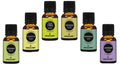 Earth N Pure Essential Oils (Rosemary, Eucalyptus, Tea Tree, Lemongrass, Peppermint & Lavender) | Grocsy