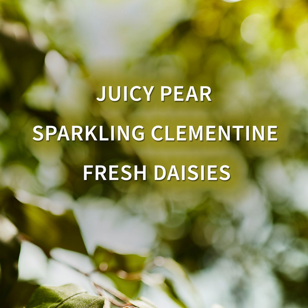 Bath & Body Works Gingham Fresh Daily Nourishing Body Lotion | Grocsy
