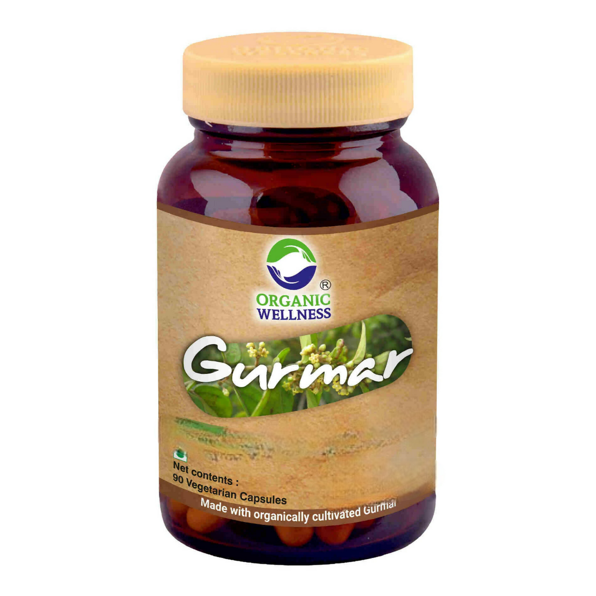 Organic Wellness Gurmar Vegetarian Capsules | Grocsy