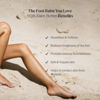 L'Occitane Shea Butter Intensive Foot Balm For Dry To Very Dry Skin | Grocsy