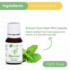 Naturalis Essence of Nature Peppermint Essential Oil | Grocsy