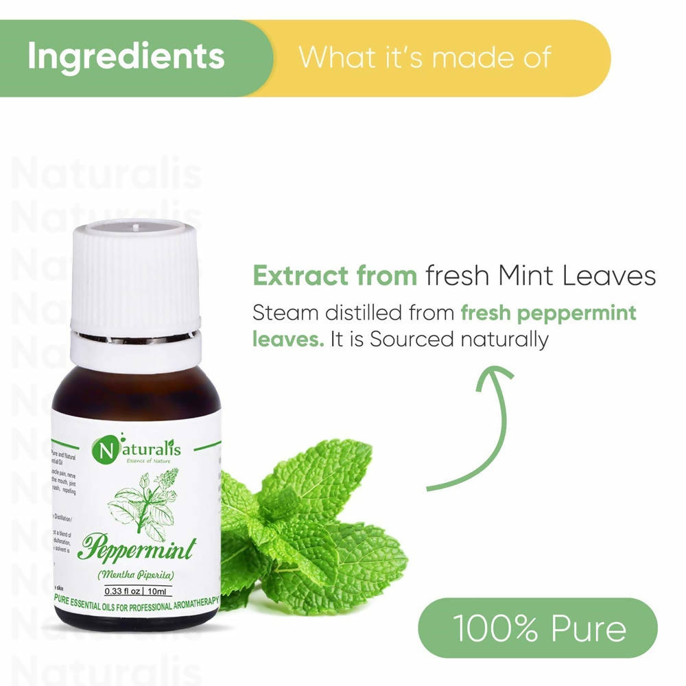 Naturalis Essence of Nature Peppermint Essential Oil | Grocsy