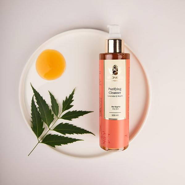 Shankara by Sri Sri Tattva Purifying Cleanser | Grocsy