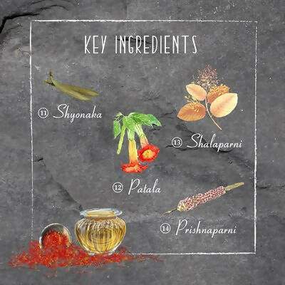 Timeless Beauty Secrets Indus Valley Organic Kumkumadi Beauty Oil | Grocsy
