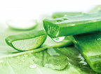 Herbal Essences Real Aloe And Eucalyptus Shampoo | Grocsy