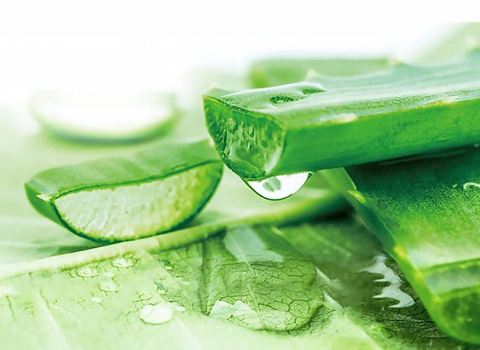 Herbal Essences Real Aloe And Eucalyptus Shampoo | Grocsy