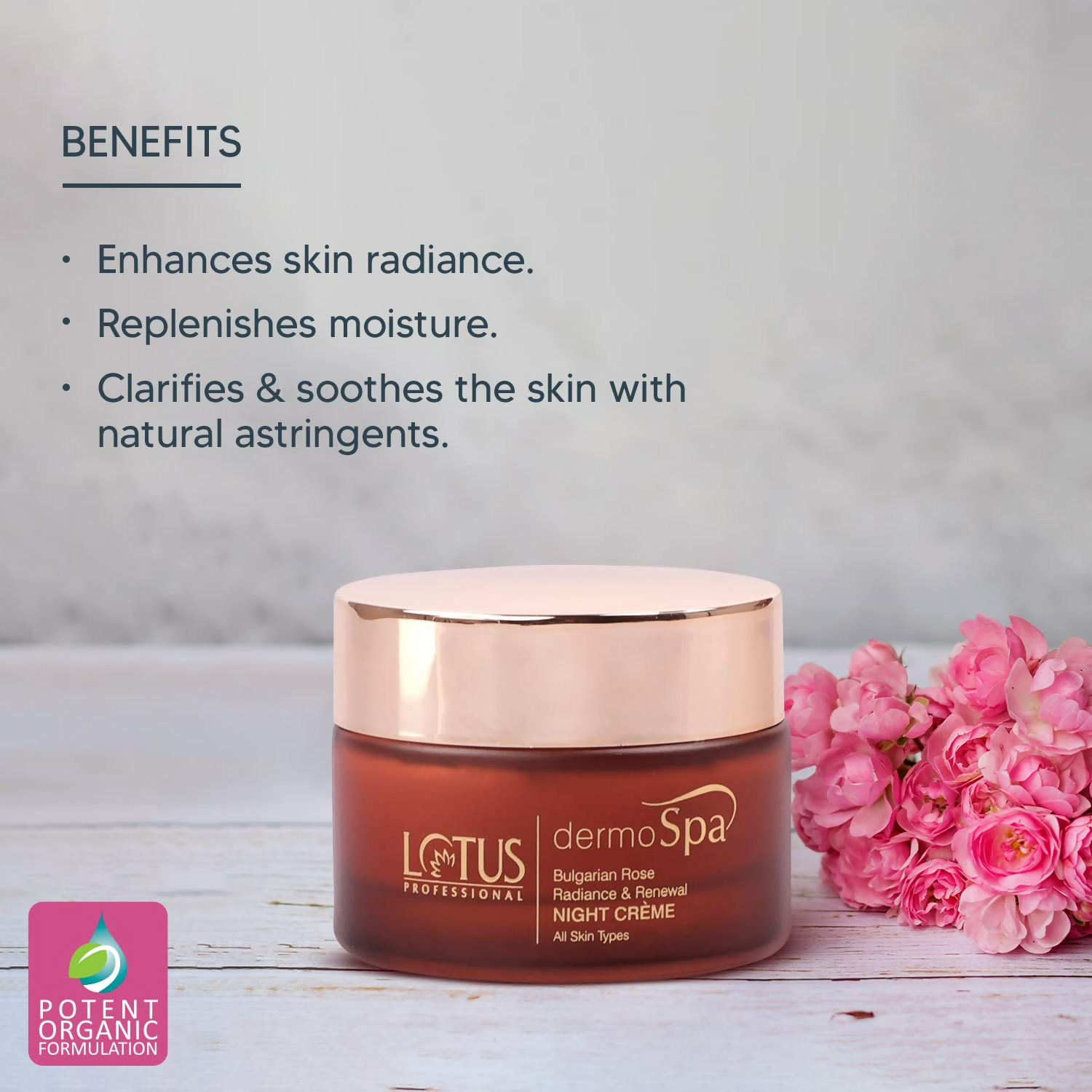 Lotus Professional Dermo Spa Bulgarian Rose Radiance and Renewal Night Cream | Grocsy