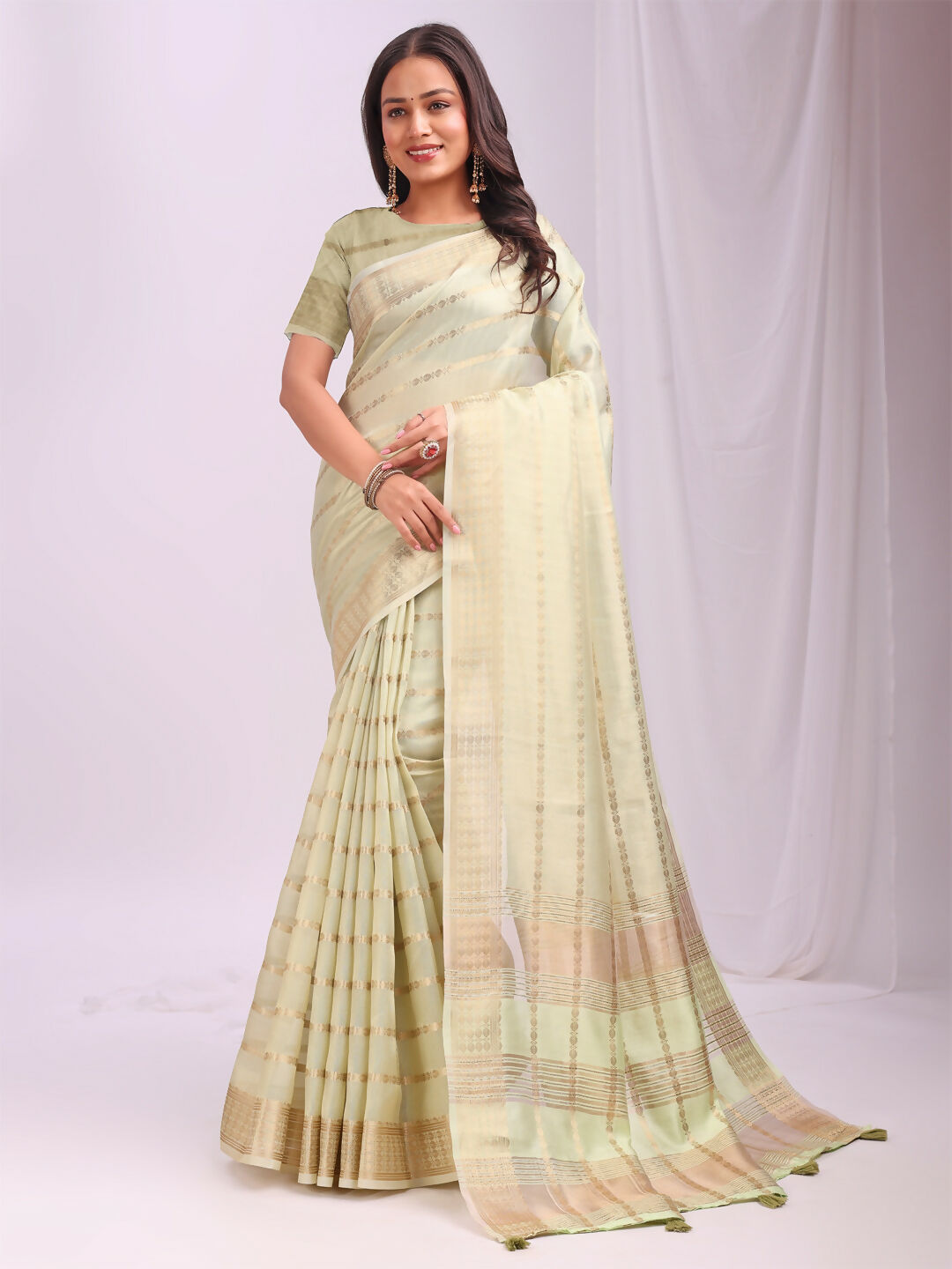 Shree Shyam Fashion Organza Light Green Saree | Grocsy