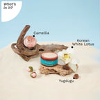 Pilgrim Korean White Lotus Day Cream SPF 50 With Camellia And Yugdugu | Grocsy